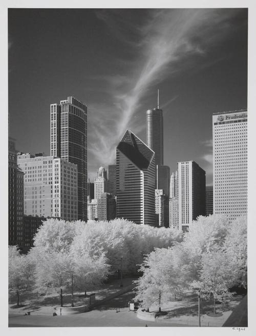 View from the Art Institute Bridge, Chicago