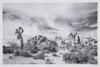 Hidden Valley Trail, Joshua Tree National Park, California