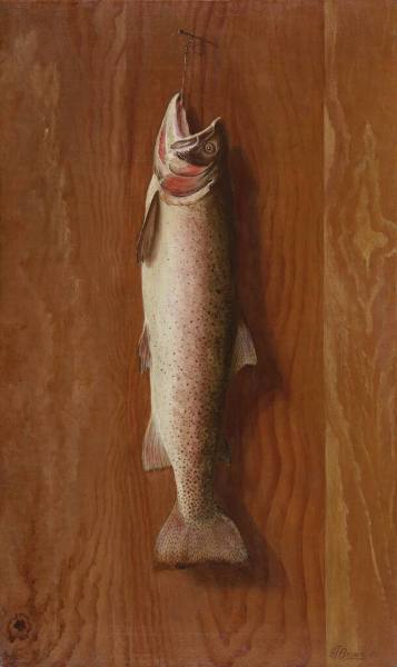 Trout