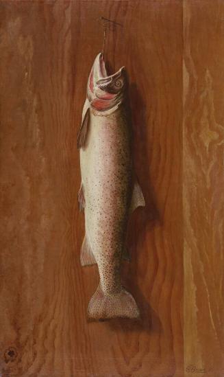 Trout