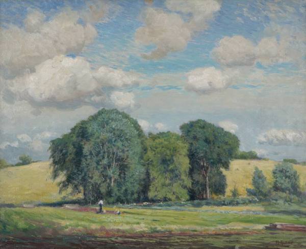 Summer Landscape