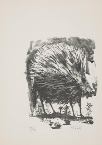 An Alphabestiary: P is for PORCUPINE