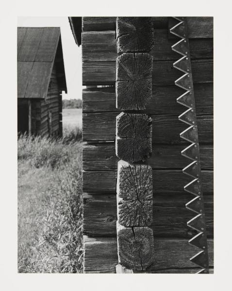 Finnish Barn Near Linden Grove, 1957