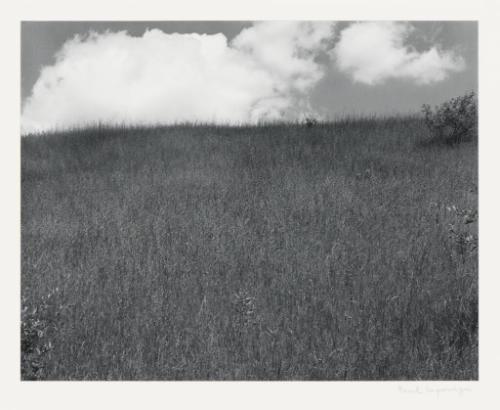 Landscape, Kalamazoo, Michigan 1970