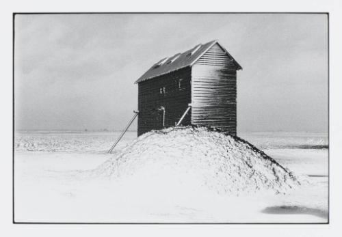 Illinois Landscape, Wapella, Illinois