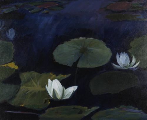 Water Lilies