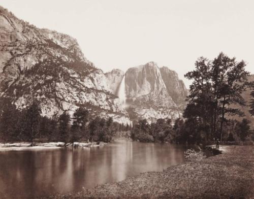 Valley of the Yosemite:  Great Grizzly Bear