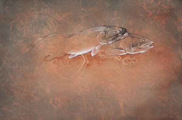 Bowfin: Native Lungfish
