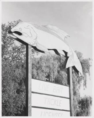 Bait sign, Near Entrance to Muskegon State Park